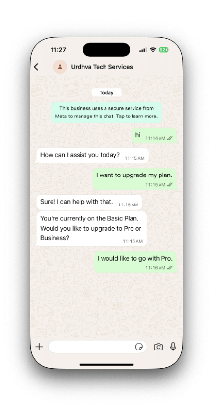 WhatsApp customer interaction view